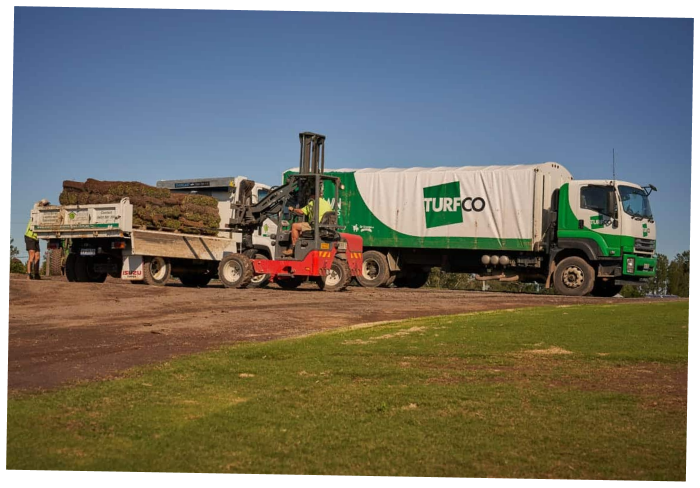 turfing large area