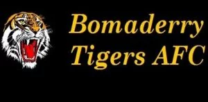 tigers