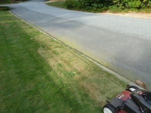 Dethatching mow low