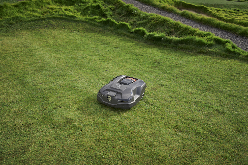 mow lawn