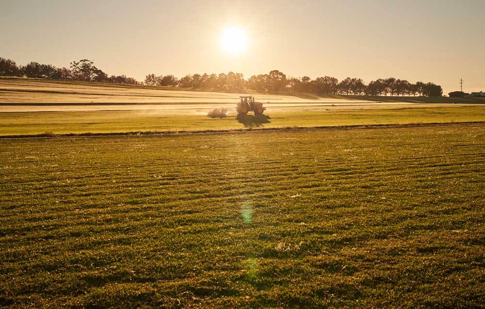 Mowing turf