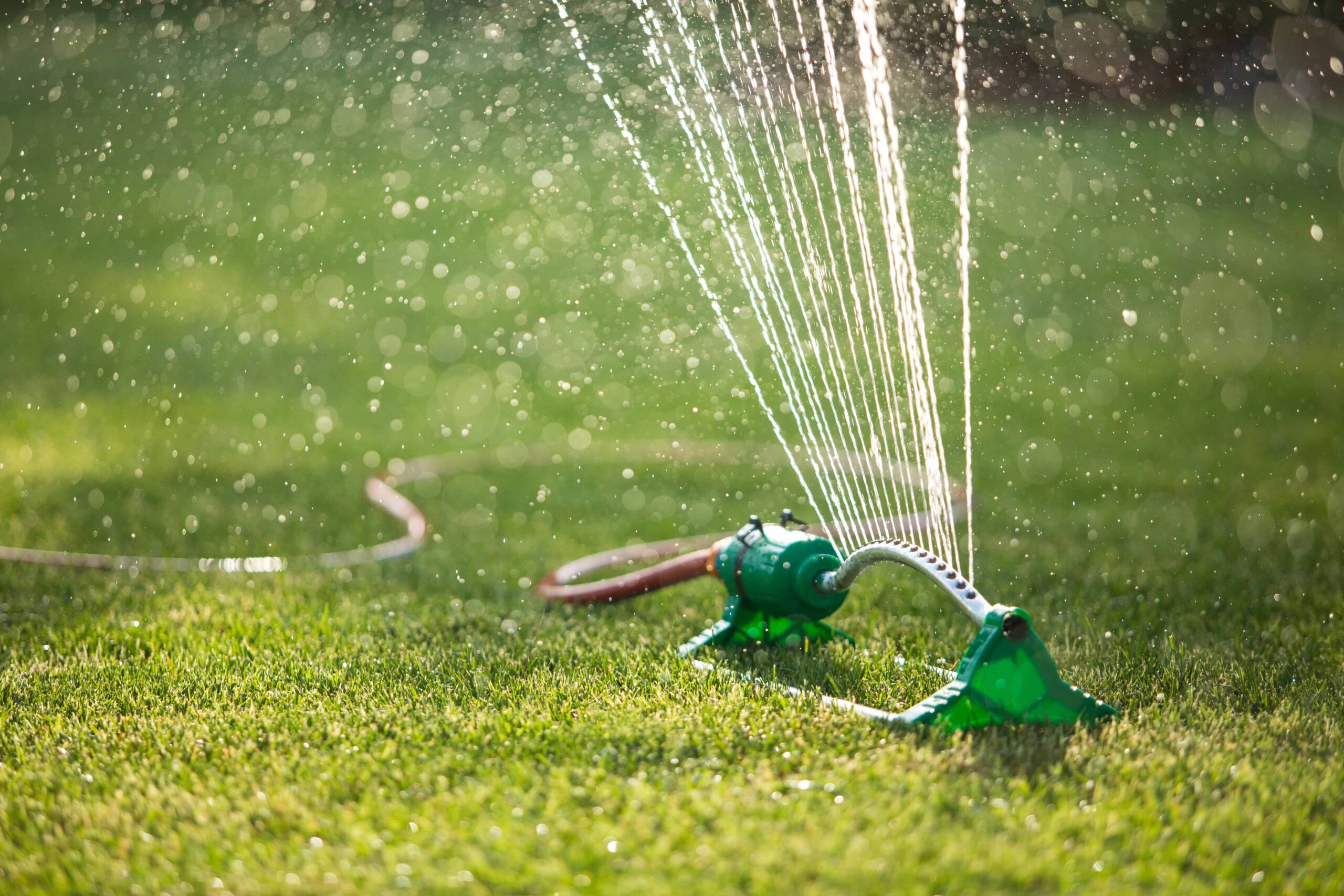 Watering a lawn with restrictions in place