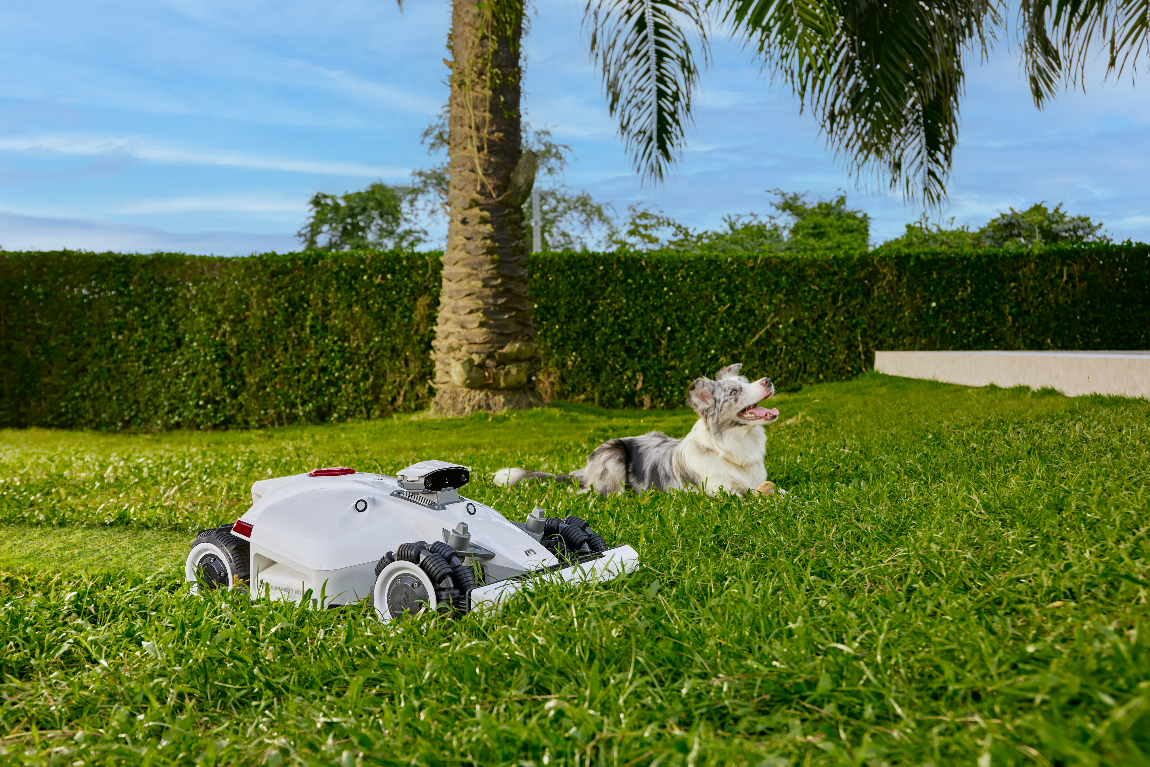 Robotic Lawn Mower