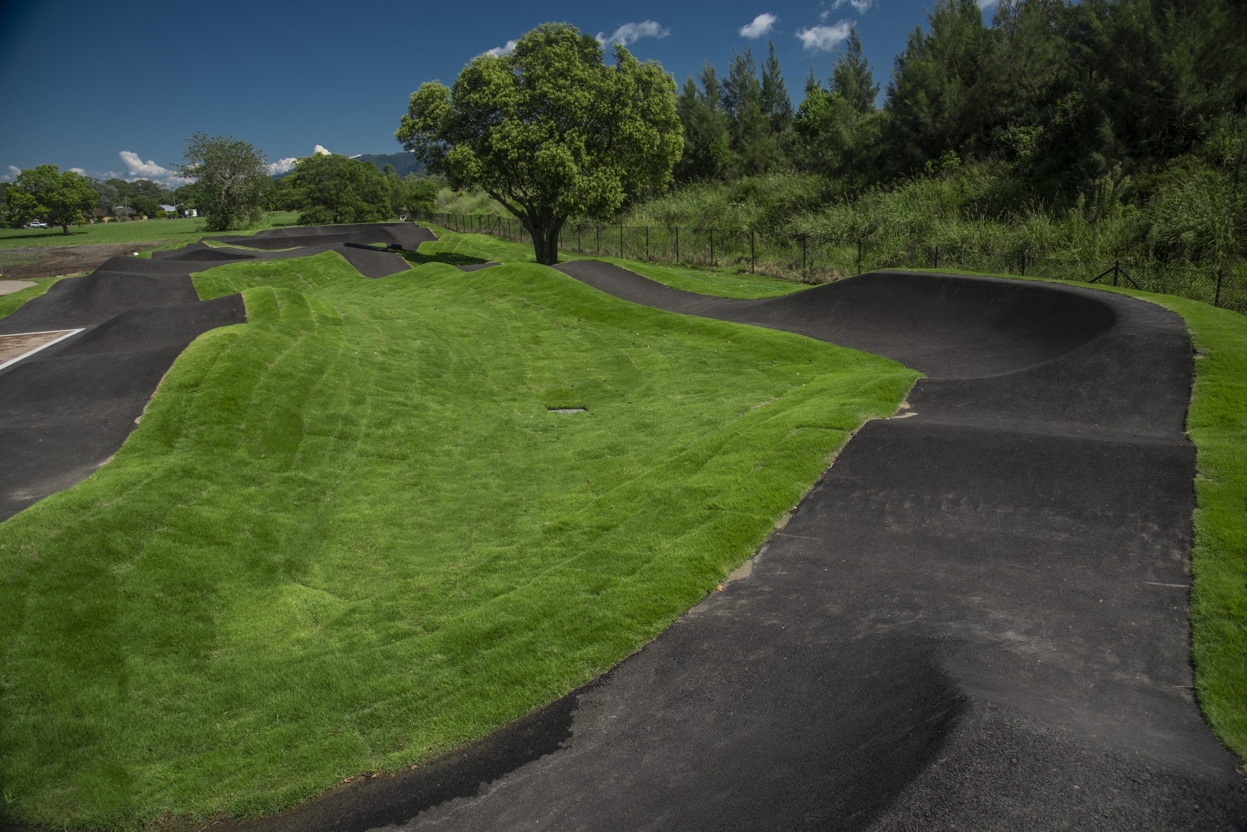 Berry Pump Track