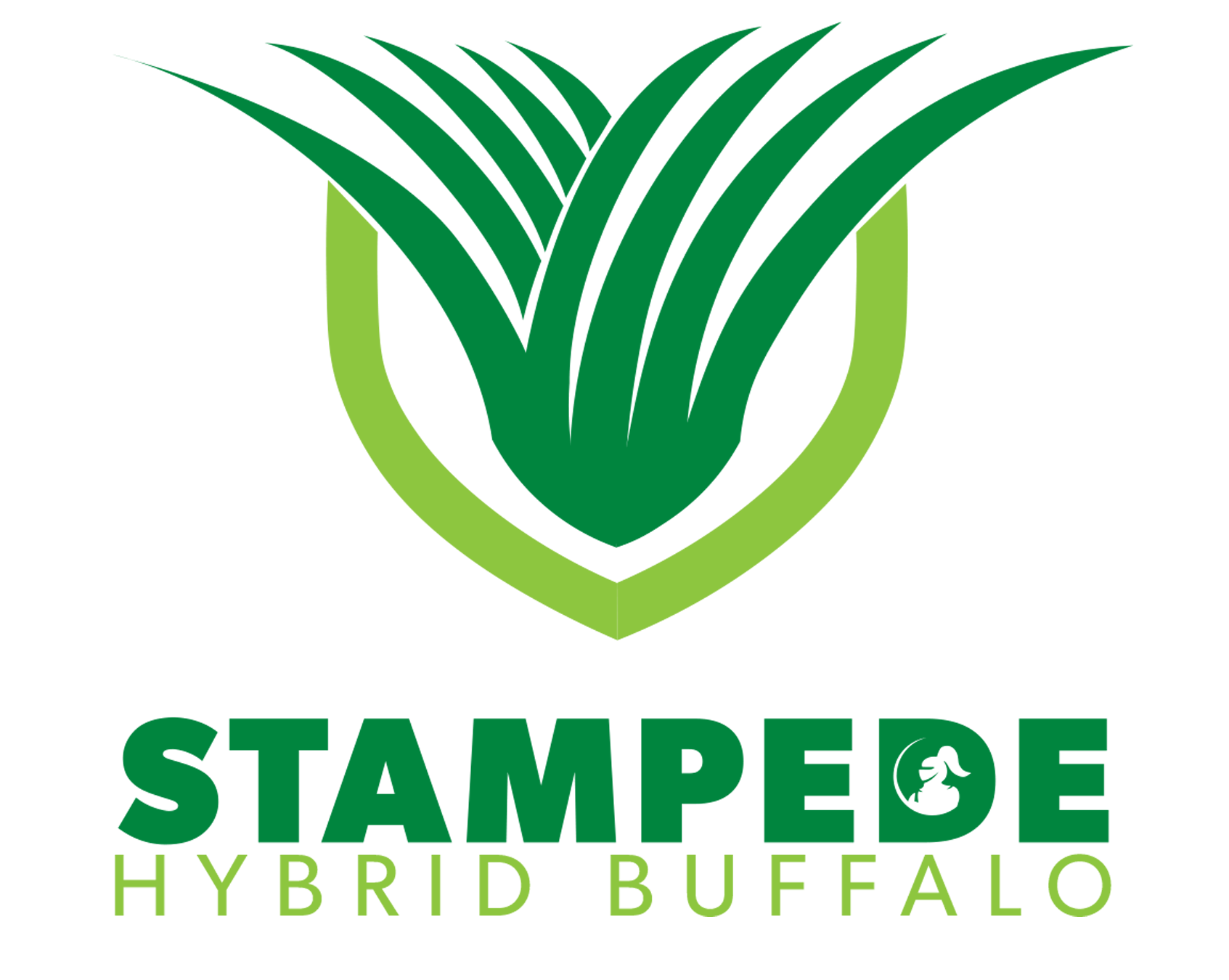 Stampede Hybrid Buffalo
