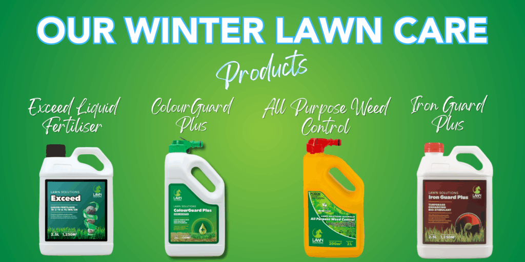 Winter lawn care