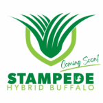 Stampede Hybrid Buffalo