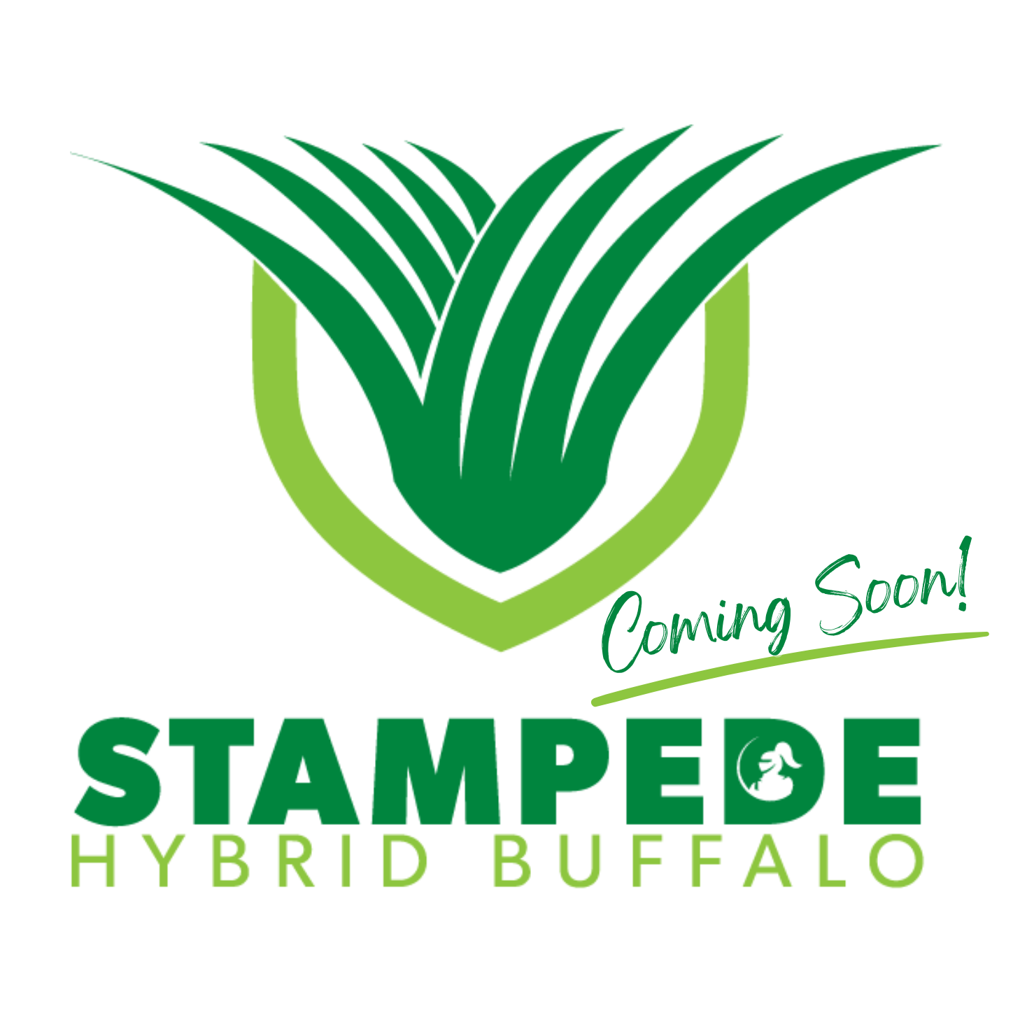 Stampede Hybrid Buffalo