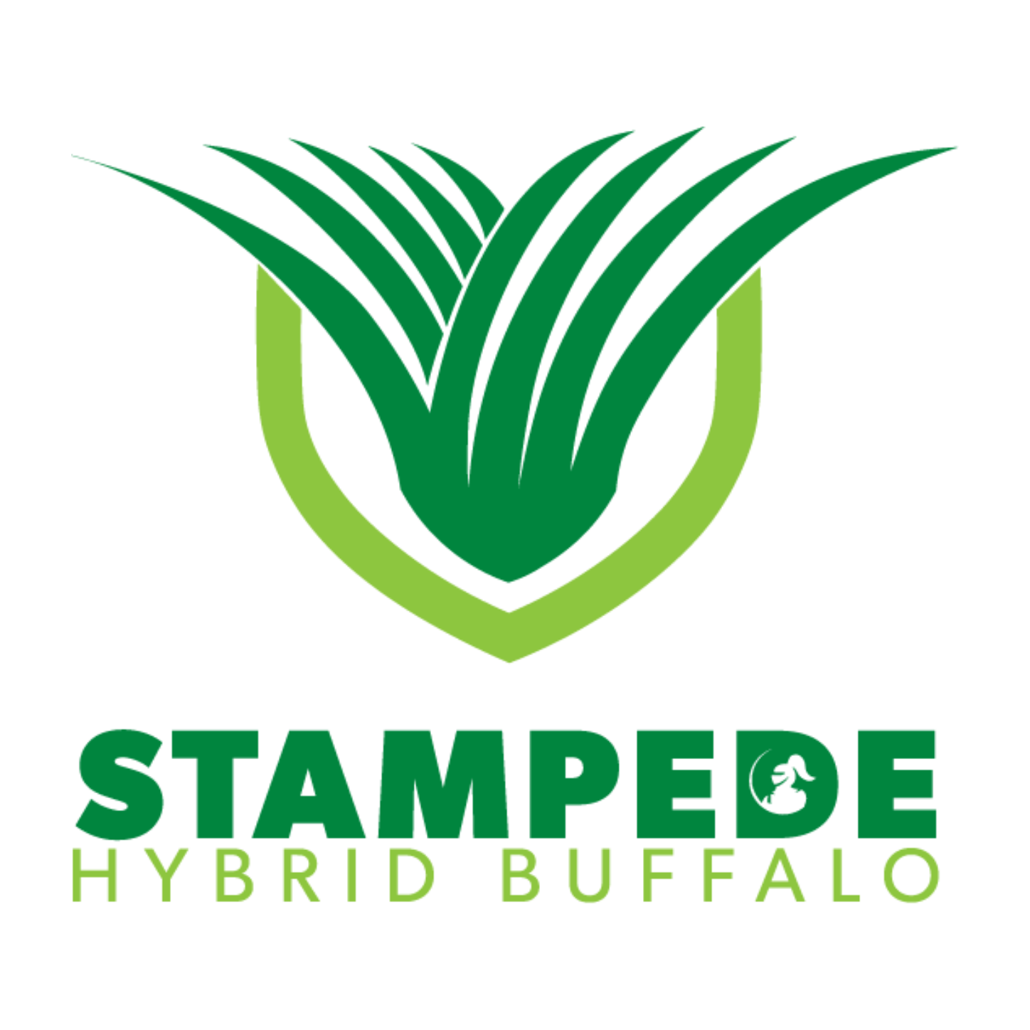 Stampede Hybrid Buffalo
