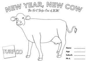 Turfco cow colouring