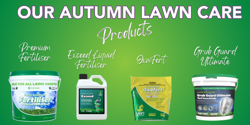 autumn lawn care