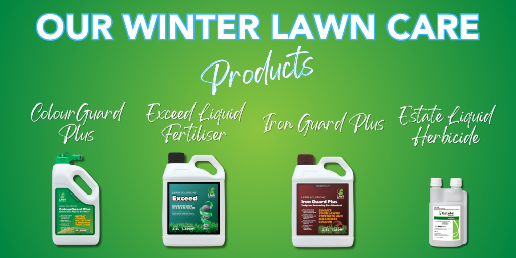 Winter lawn care